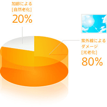 肌に起きてくるトラブルの原因は、20%が加齢によるダメージで、80%は紫外線によるダメージ